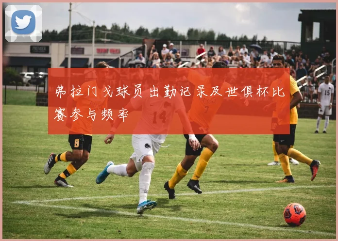 弗拉门戈球员出勤记录及世俱杯比赛参与频率