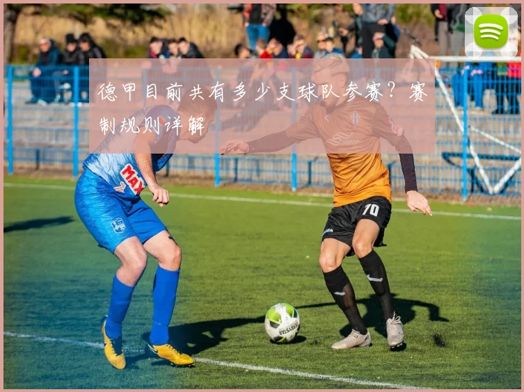 德甲目前共有多少支球队参赛？赛制规则详解