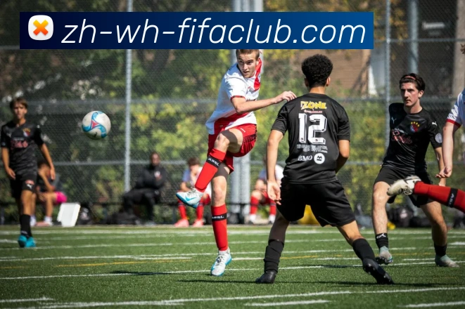 多媒体互动体验