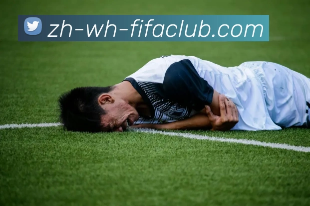 世界杯直播APP 高清赛事图