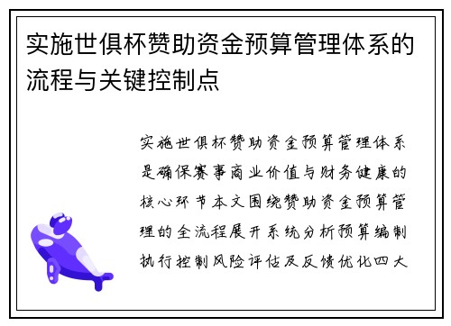 实施世俱杯赞助资金预算管理体系的流程与关键控制点